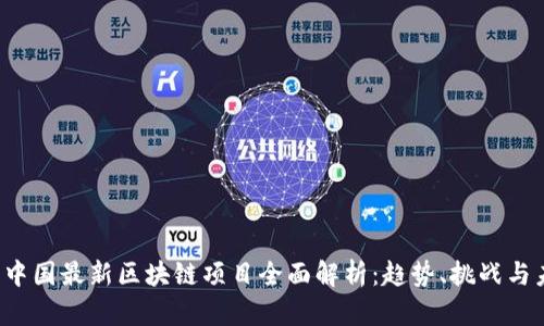 2023年中国最新区块链项目全面解析:趋势、挑战与未来展望