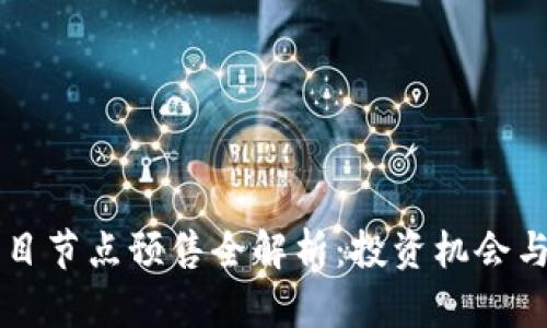 区块链项目节点预售全解析：投资机会与风险分析