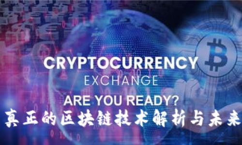 :
派币真正的区块链技术解析与未来展望