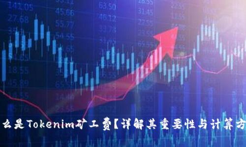 什么是Tokenim矿工费?详解其重要性与计算方法