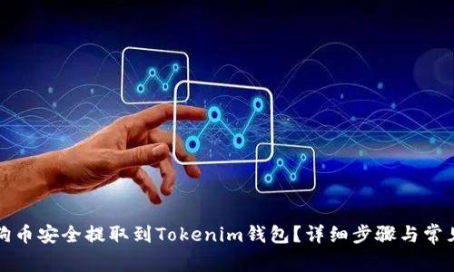 如何将狗狗币安全提取到Tokenim钱包?详细步骤与常见问题解答