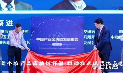国内首个农产品区块链详解：推动农业现代化与透明度