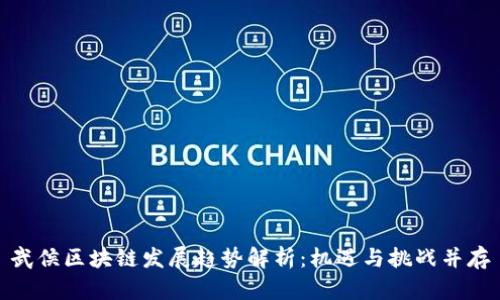 武侯区块链发展趋势解析:机遇与挑战并存