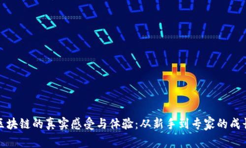 入行区块链的真实感受与体验:从新手到专家的成长之路