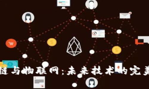 区块链与物联网:未来技术的完美结合