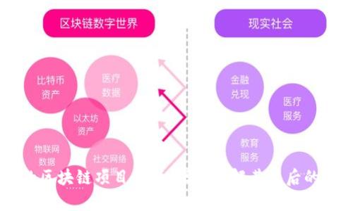 马云投资的区块链项目解析:深入了解其背后的理念与应用