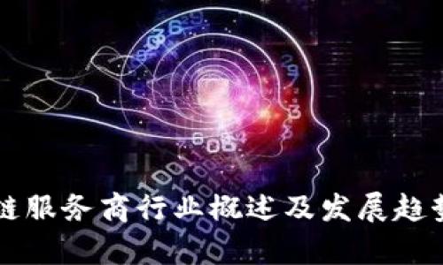 区块链服务商行业概述及发展趋势解析