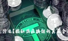 伪区块链是什么？揭秘伪