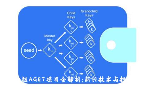 区块链AGE7项目全解析:新兴技术与投资机会