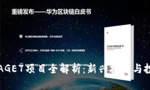 区块链AGE7项目全解析:新兴技术与投资机会