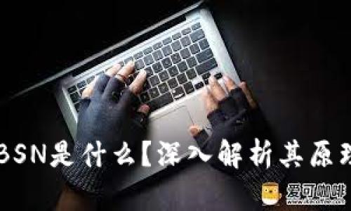 区块链BSN是什么?深入解析其原理与应用