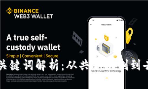 区块链时代的关键词解析:从共识机制到去中心化的未来