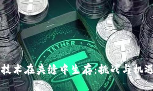 区块链技术在夹缝中生存:挑战与机遇的探索