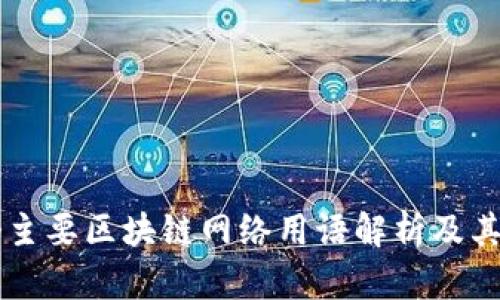 四个主要区块链网络用语解析及其应用