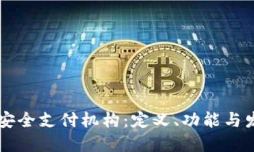 区块链安全支付机构:定义、功能与发展未来