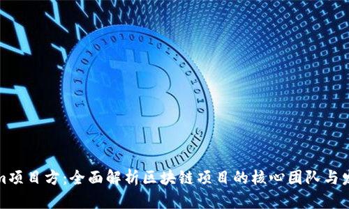 Tokenim项目方:全面解析区块链项目的核心团队与发展愿景