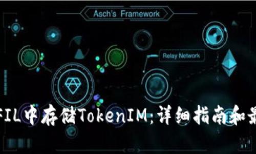 如何在FIL中存储TokenIM：详细指南和最佳实践