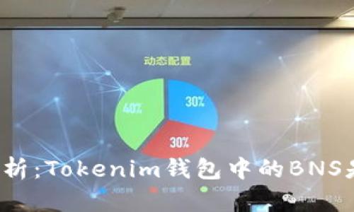 深入解析：Tokenim钱包中的BNS是什么？