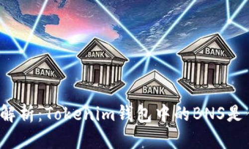 深入解析：Tokenim钱包中的BNS是什么？