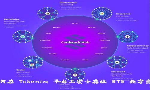 如何在 Tokenim 平台上安全存放 BTB 数字资产
