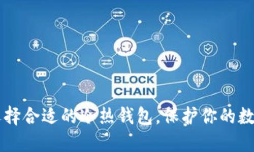 Tokenim:选择合适的冷热钱包,保护你的数字资产安全