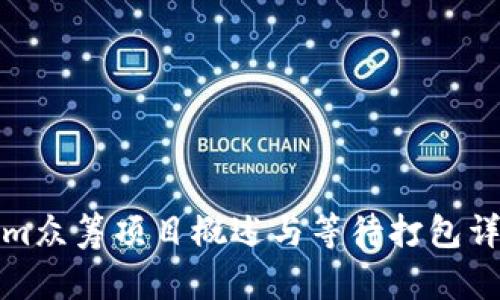 Tokenim众筹项目概述与等待打包详细指南