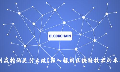 区块链到底挖的是什么坑?深入解析区块链技术的本质与陷阱