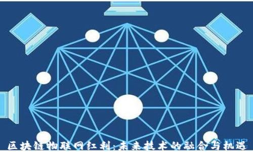 区块链物联网红利:未来技术的融合与机遇