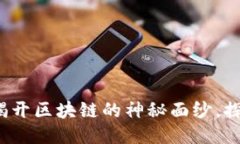 什么是区块链？揭开区块
