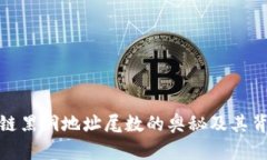 揭示区块链黑洞地址尾数