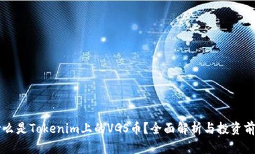 什么是Tokenim上的VGS币?全面解析与投资前景