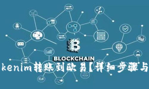 如何将Tokenim转账到欧易?详细步骤与注意事项