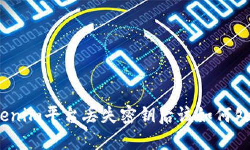 Tokenim平台丢失密钥后该如何处理?