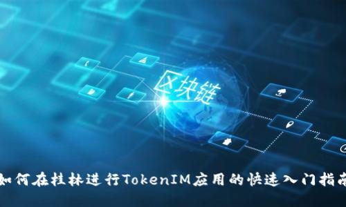 如何在桂林进行TokenIM应用的快速入门指南