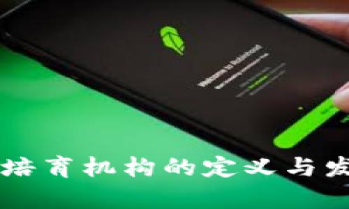 区块链人才培育机构的定义与发展前景解析