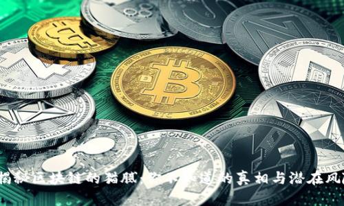 揭秘区块链的猫腻:你不知道的真相与潜在风险