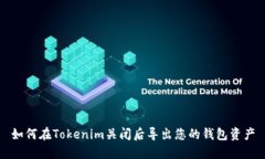 如何在Tokenim关闭后导出您
