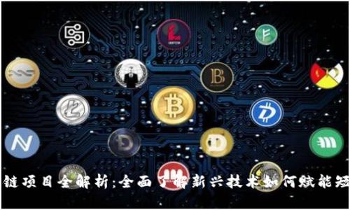 抖音区块链项目全解析:全面了解新兴技术如何赋能短视频平台