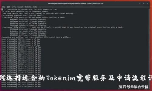 如何选择适合的Tokenim宽带服务及申请流程详解