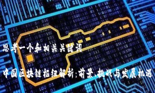 思考一个和相关关键词
中国区块链枢纽解析:前景、挑战与发展机遇