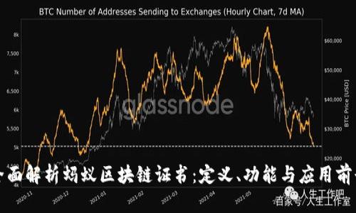 全面解析蚂蚁区块链证书:定义、功能与应用前景