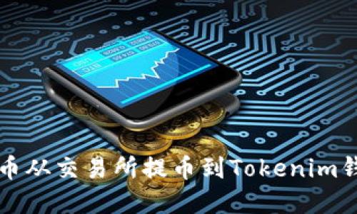 如何将加密货币从交易所提币到Tokenim钱包的详细指南