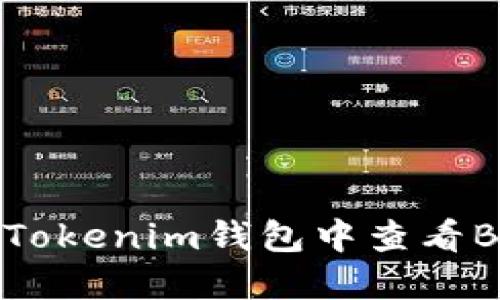 如何在Tokenim钱包中查看BTC余额