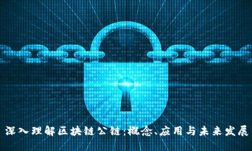 深入理解区块链公链:概念、应用与未来发展