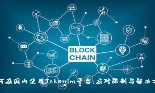 如何在国内使用Tokenim平台:应对限制与解决方案
