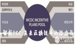 深入解析PCC：未来区块链