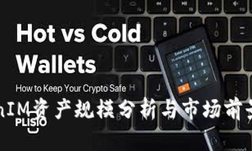 TokenIM资产规模分析与市场前景展望