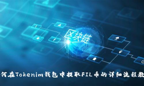 如何在Tokenim钱包中提取FIL币的详细流程教程