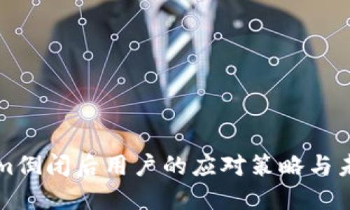 Tokenim倒闭后用户的应对策略与未来展望