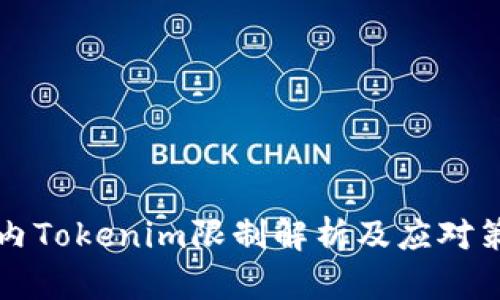 国内Tokenim限制解析及应对策略